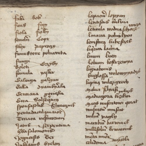 Scripta Actuaria Script Polona